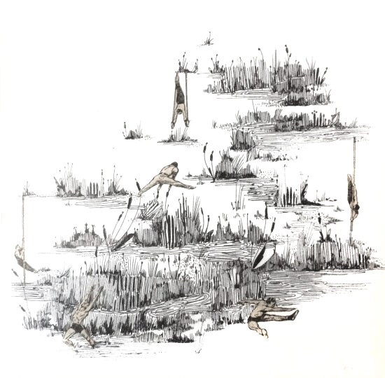 Marais