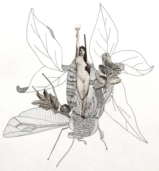 Vénus