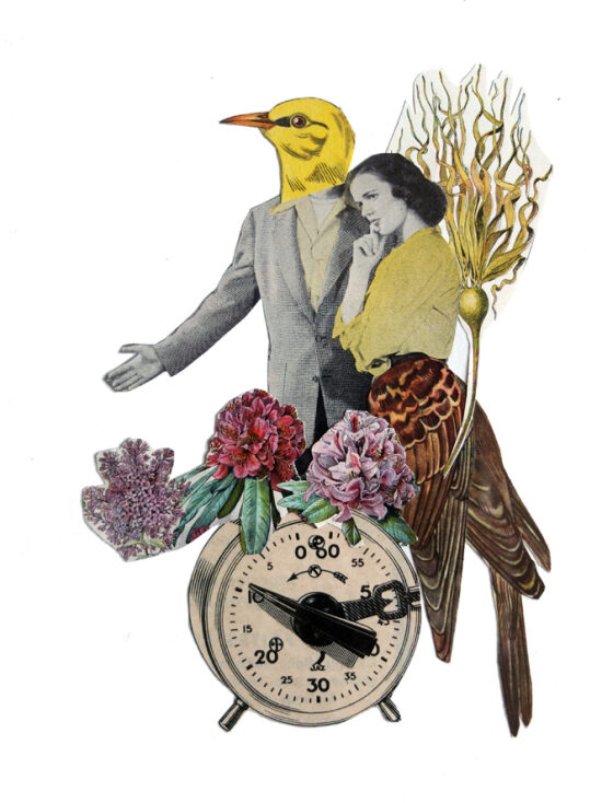 La belle et l'oiseau