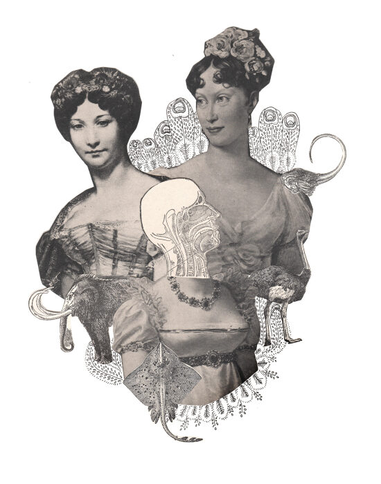 Duchesses