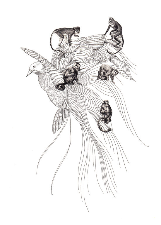 Gibbons