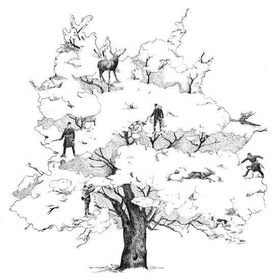 Chasseurs cueilleurs
