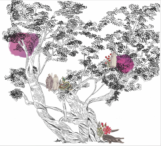 Arboretum
