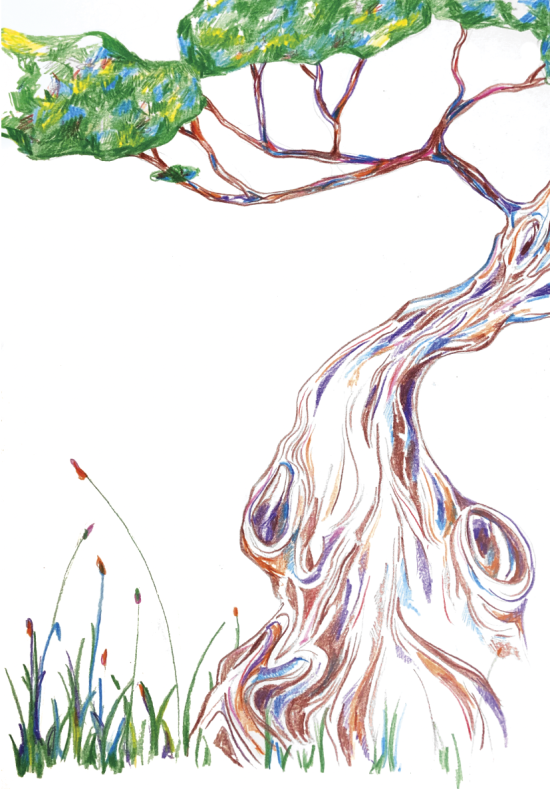 Arbre