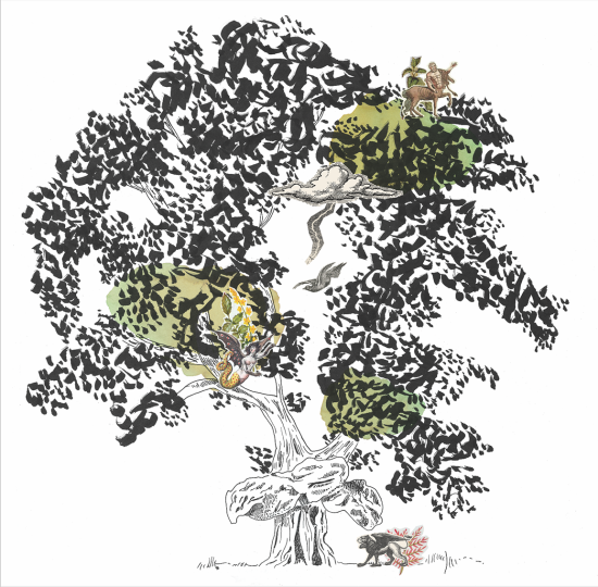 L'arbre oiseau de Ghisonaccia