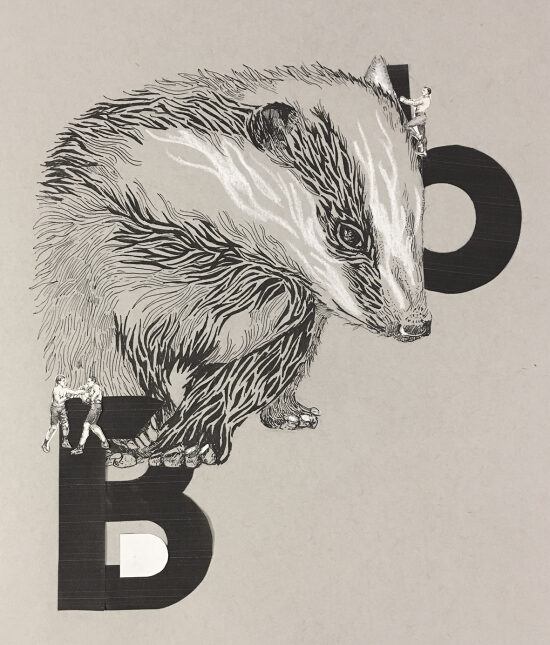 Bb