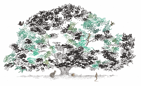 Arboretum