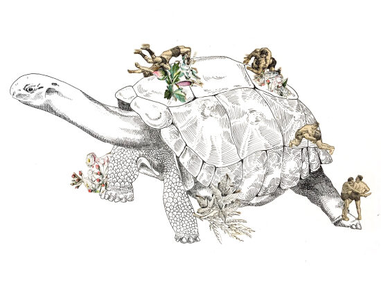Come slowly