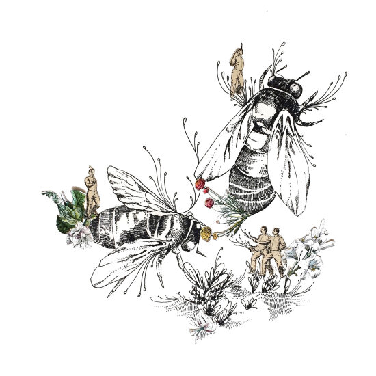 Faire mouche