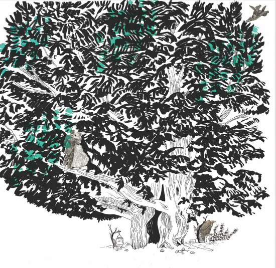 Arboretum