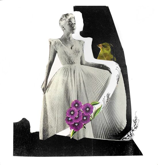 Robe et oiseau