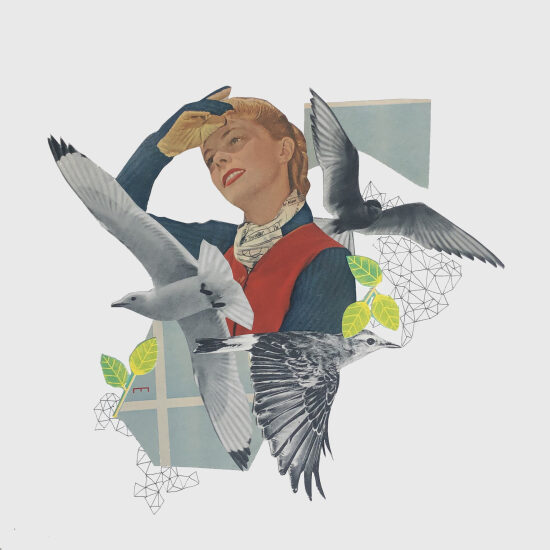 Les oiseaux