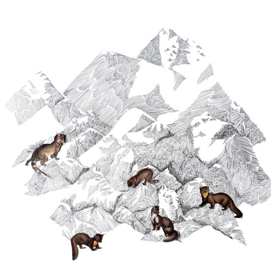La montagne
