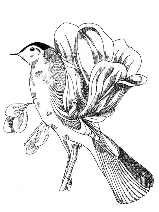 oiseau-fleur