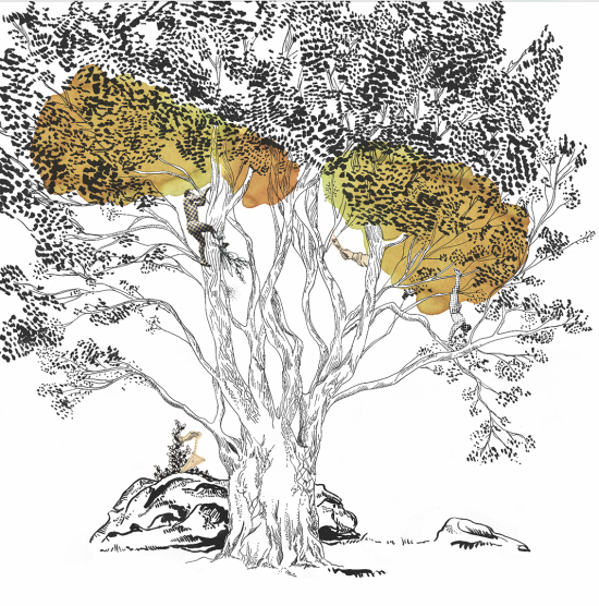 Arboretum